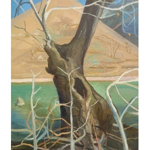 Nayab Noor, 10 x 12 Inch, Oil On Canvas, AC-NNR-002